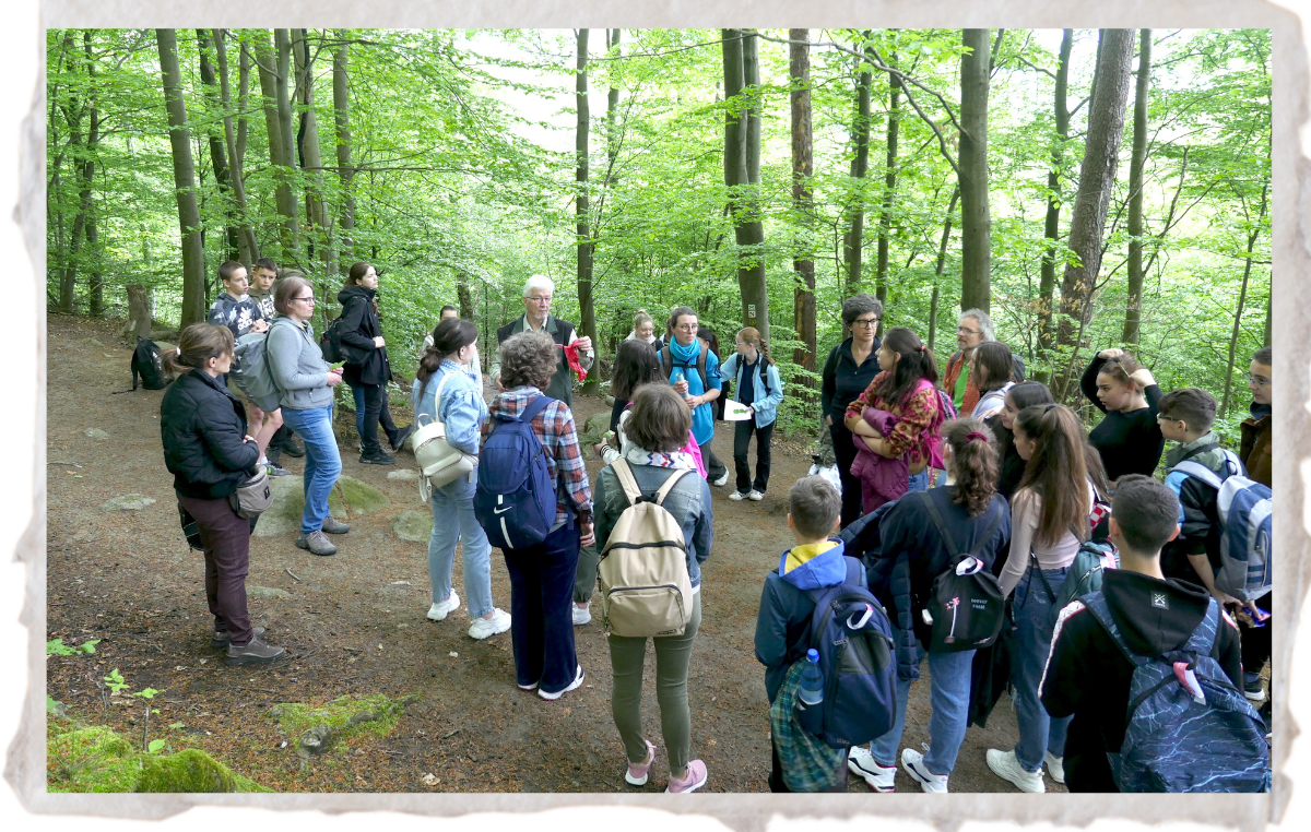 Geo Naturpark Rimbach school exchange website Germany